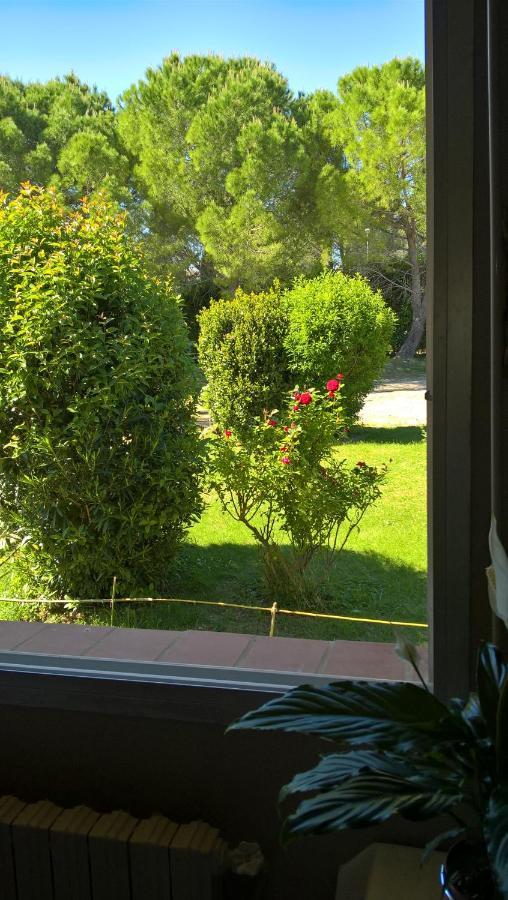 Chez Naomi Bed and Breakfast Saint-Jean-de-Cornies Exterior foto